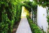 Enlarge photo 65