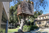 Enlarge photo 68
