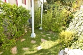 Enlarge photo 65