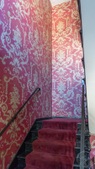Enlarge photo 35