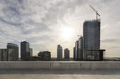 DTLA 8th Floor Buttercup