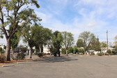 LACC