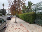 Enlarge photo 19