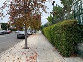 Enlarge photo 20