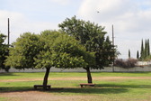 Enlarge photo 19