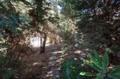 Enlarge photo 67