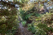 Enlarge photo 71