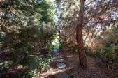 Enlarge photo 72