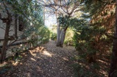 Enlarge photo 73