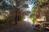 Enlarge photo 74