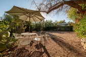 Enlarge photo 92