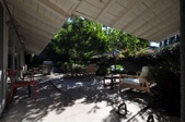 Enlarge photo 67