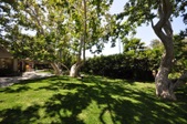 Enlarge photo 85