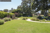 Enlarge photo 106