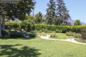 Enlarge photo 107