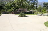 Enlarge photo 113