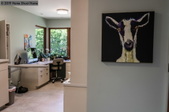 Enlarge photo 37