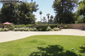 Enlarge photo 81