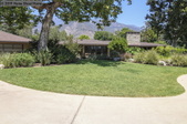Enlarge photo 82