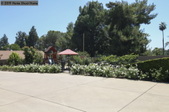 Enlarge photo 84