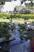 Enlarge photo 95