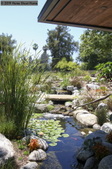 Enlarge photo 96