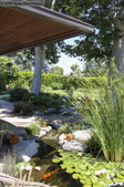 Enlarge photo 97