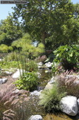 Enlarge photo 98