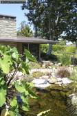 Enlarge photo 99