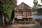 Enlarge photo 76