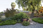 Enlarge photo 80