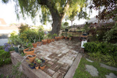 Enlarge photo 84