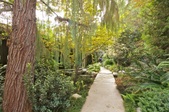 Enlarge photo 115