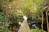 Enlarge photo 116