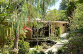 Enlarge photo 118