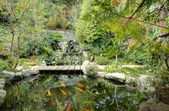 Enlarge photo 120