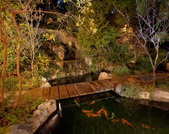 Enlarge photo 121
