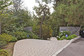 Enlarge photo 125