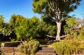 Enlarge photo 34