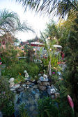 Enlarge photo 57
