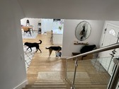 Enlarge photo 38
