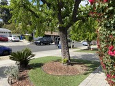 Enlarge photo 17
