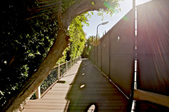 Enlarge photo 71