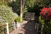 Enlarge photo 72
