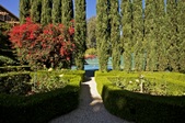 Enlarge photo 73