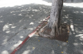 Enlarge photo 37