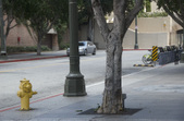 Enlarge photo 48