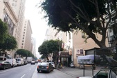 Enlarge photo 30