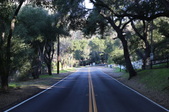 Carlisle Road (Canyon Ranch Area)