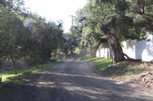Enlarge photo 33